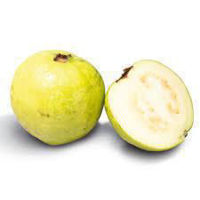 Picture of GUAVA