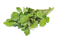 Picture of WATERCRESS (1 EA)