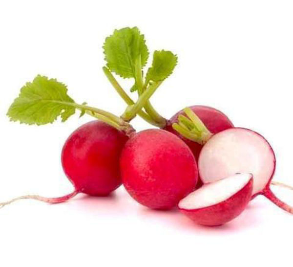 Picture of RADISHES (1 BUNCH)