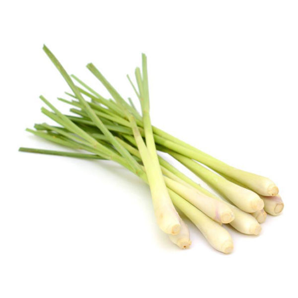 Picture of LEMONGRASS (1 EA)