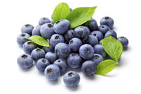 Picture of ORGANIC BLUEBERRIES (340 G)