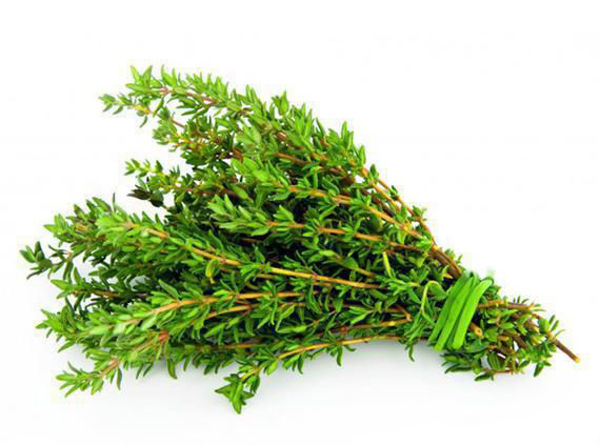 Picture of JAMAICAN THYME