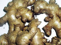 Picture of JAMAICAN GINGER