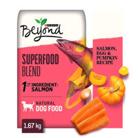 Picture of PURINA BEYOND DRY DOG FOOD SUPERFOOD BLEND SALMON, EGG, & PUMPKIN RECIPE DRY DOG FOOD [1.67 kg]